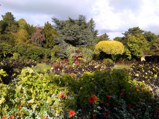1159284 (a): :2560x1920
